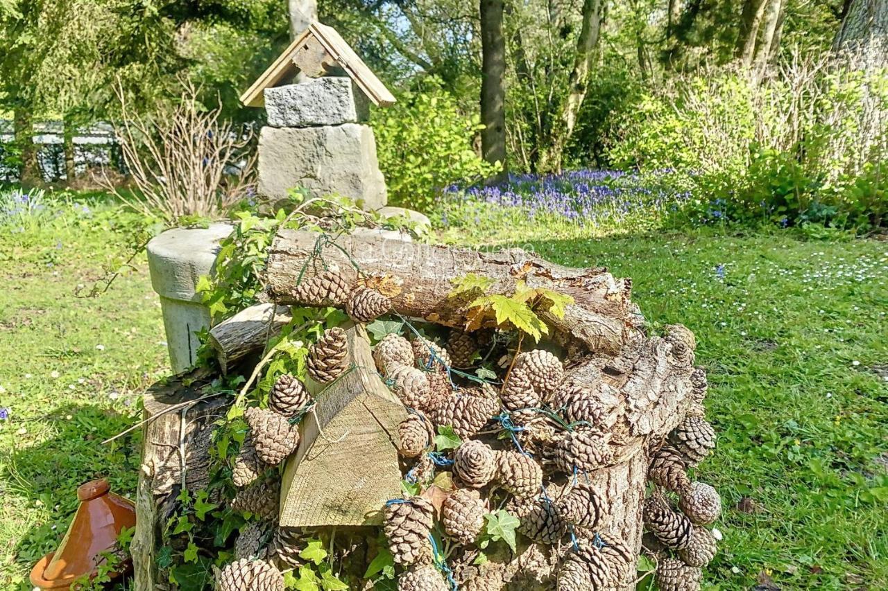 Bg32 - Mer & Bois De Cise Maison Individuelle Avec Grand Jardin Ault Luaran gambar